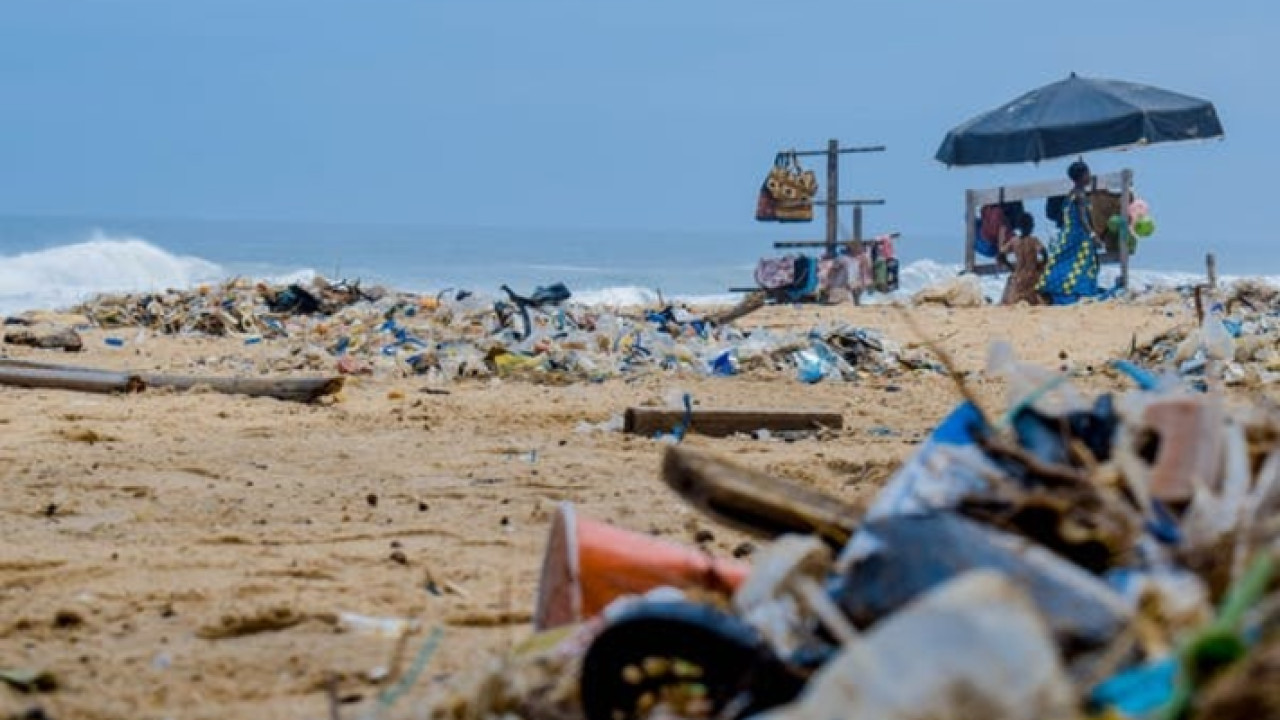 Dubai’s SME A Helping Hand To Reduce Marine Plastic ... Image 1