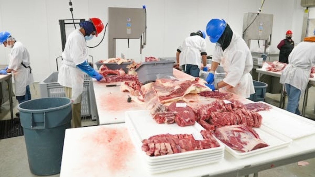 Middle East’s First Plant Based Meat Factory: Dubai Image 1