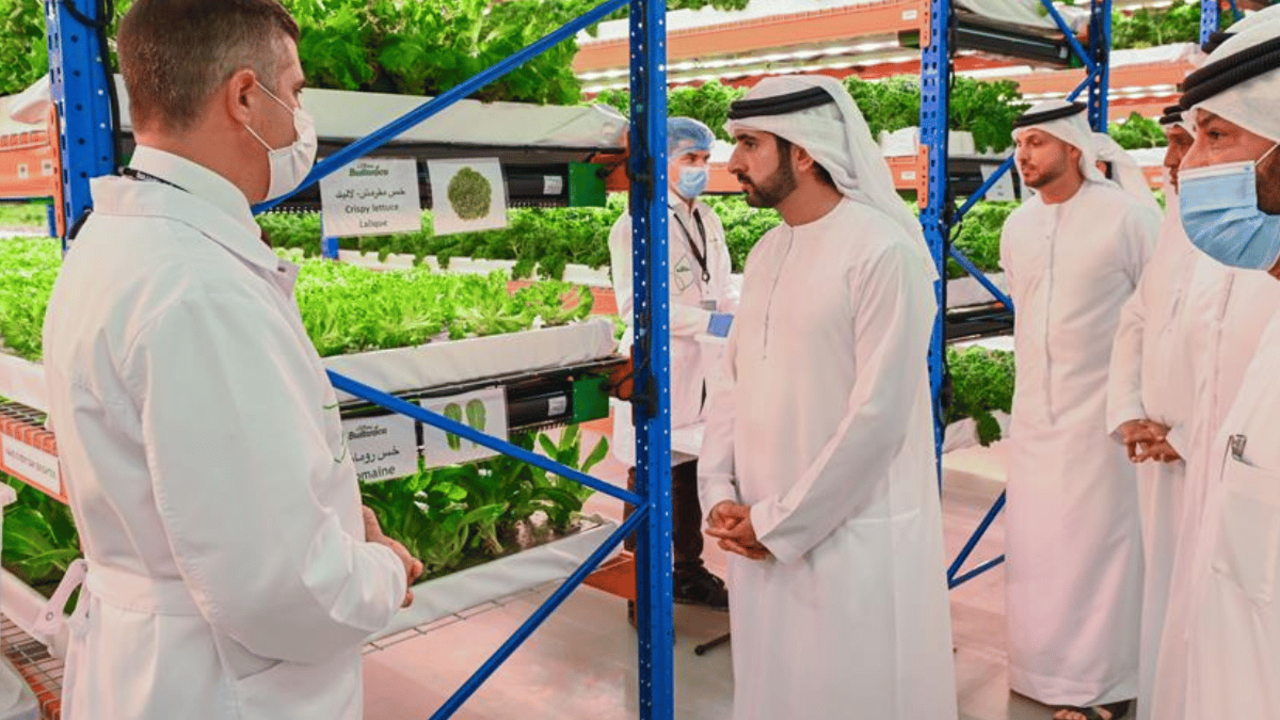 The Vertical Farming Project at ADQ's AgTech Park Marks the ... Image 1