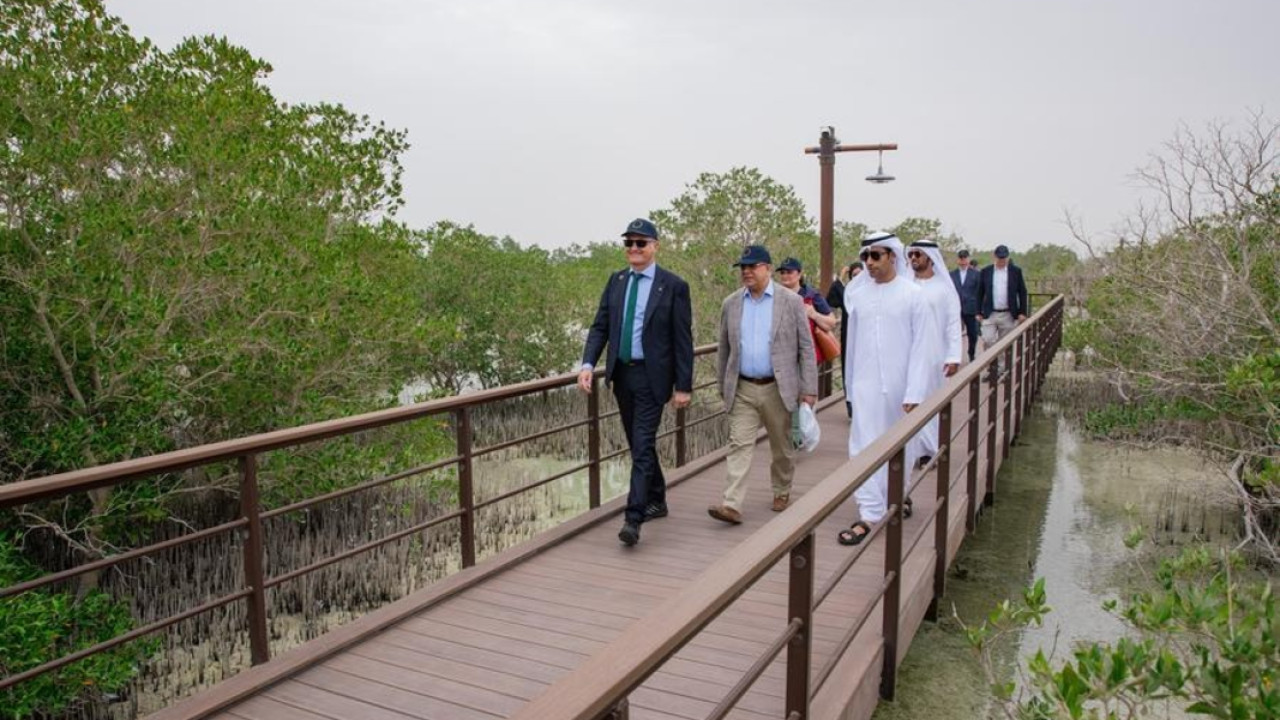 EU Ambassadors Plant Mangroves in Abu Dhabi to Put Their ... Image 1