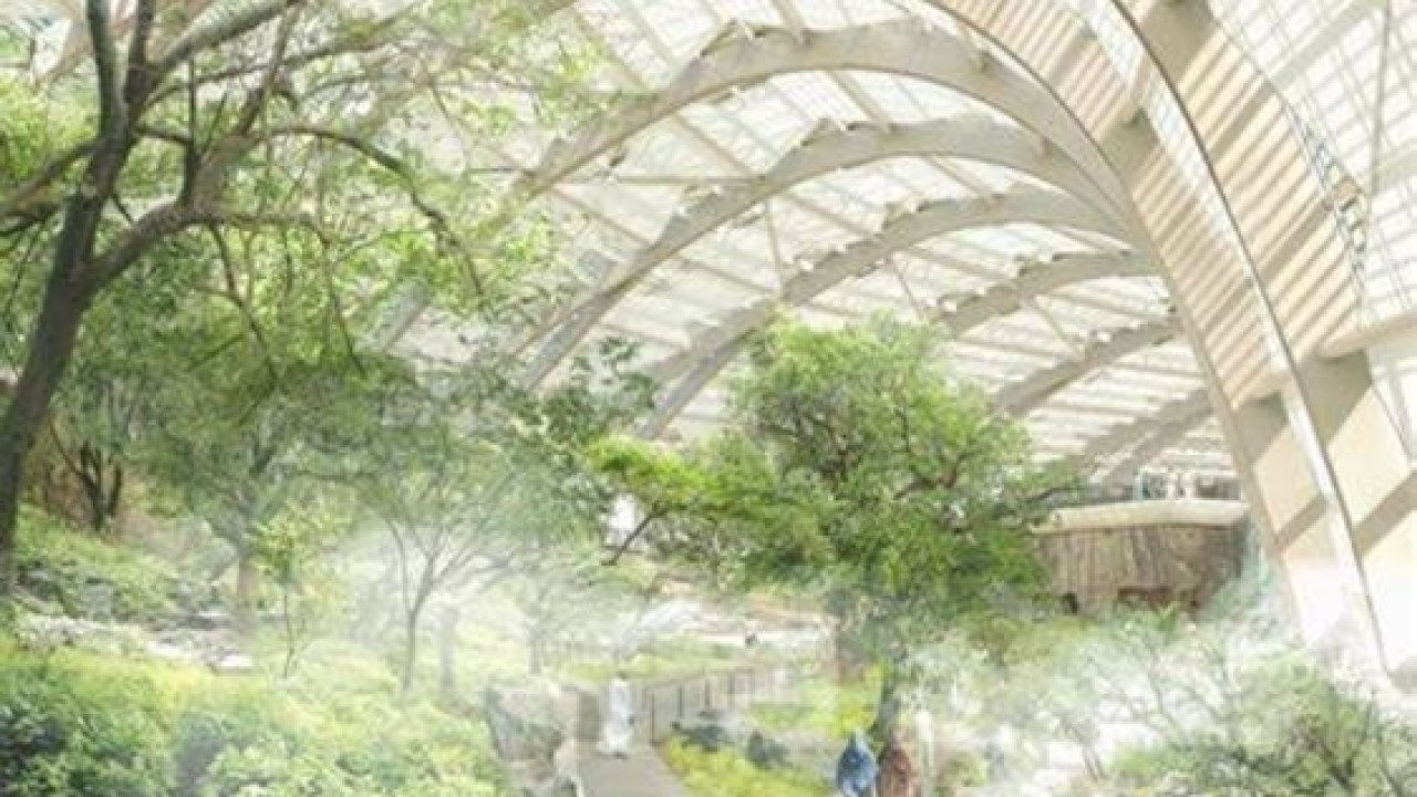 Oasis of Wonder: Oman's Botanic Garden Unveiled Image 1