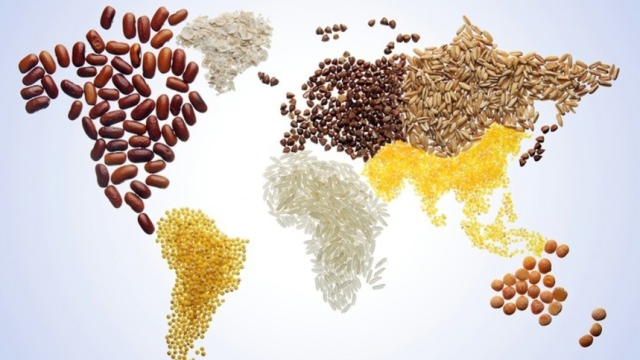UAE invests $2 billion in hi-tech Indian crop-growing 'food ... Image 1