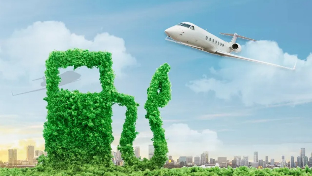 Elit’Avia Introduces Carbon-Neutral Charter Flights Through  ... Image 1