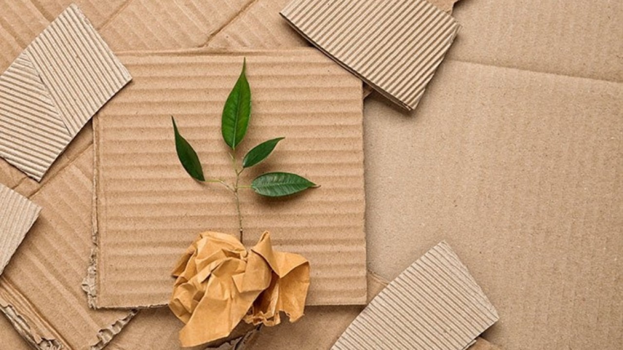 The Economy and Sustainable Packaging Image 1